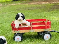 processed/f05f104c-cd7d-4124-a23a-6f6c314f8d34/listing/83abb721-bd31-4ae6-b8a3-02b87c8dad68/160dc9fc-ee46-48b7-9b2f-d190a0816a15