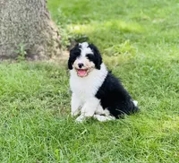 processed/f05f104c-cd7d-4124-a23a-6f6c314f8d34/listing/83abb721-bd31-4ae6-b8a3-02b87c8dad68/3d09684e-7298-4fab-abe3-dc5734b89905