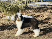 processed/f05f104c-cd7d-4124-a23a-6f6c314f8d34/listing/83abb721-bd31-4ae6-b8a3-02b87c8dad68/4388aa8b-9be9-4301-802c-01374fcfafbf