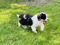 processed/f05f104c-cd7d-4124-a23a-6f6c314f8d34/listing/83abb721-bd31-4ae6-b8a3-02b87c8dad68/493fcadd-e241-473c-ad1c-09f10f931fba