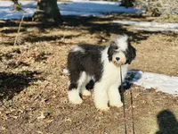 processed/f05f104c-cd7d-4124-a23a-6f6c314f8d34/listing/83abb721-bd31-4ae6-b8a3-02b87c8dad68/69dcd7eb-6698-4de0-947c-7904345092a5