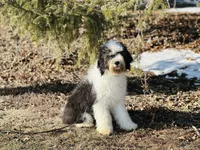 processed/f05f104c-cd7d-4124-a23a-6f6c314f8d34/listing/83abb721-bd31-4ae6-b8a3-02b87c8dad68/96d096a5-bd2f-4552-863c-4561a38a19c6