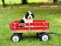 processed/f05f104c-cd7d-4124-a23a-6f6c314f8d34/listing/83abb721-bd31-4ae6-b8a3-02b87c8dad68/c50de577-df3e-4be3-b0a2-75e9f4717ac9