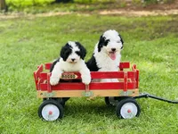 processed/f05f104c-cd7d-4124-a23a-6f6c314f8d34/listing/83abb721-bd31-4ae6-b8a3-02b87c8dad68/fdaa2338-e437-4c47-8a4f-9274776bbfbd