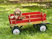 processed/f05f104c-cd7d-4124-a23a-6f6c314f8d34/listing/98785083-0d9f-479a-8e04-4349f6c2a90d/1fda6ad2-9264-41be-a90a-bd4d40a2c638