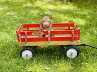 processed/f05f104c-cd7d-4124-a23a-6f6c314f8d34/listing/98785083-0d9f-479a-8e04-4349f6c2a90d/2f0c2e1b-41f1-4000-b3b7-f5193b4cb9a6