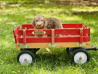 processed/f05f104c-cd7d-4124-a23a-6f6c314f8d34/listing/98785083-0d9f-479a-8e04-4349f6c2a90d/571554bc-581c-48f5-b420-1ad23125c6e6