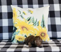 processed/f05f104c-cd7d-4124-a23a-6f6c314f8d34/listing/98785083-0d9f-479a-8e04-4349f6c2a90d/685e5ffc-d6ec-47b5-87ec-503fdaaf607c