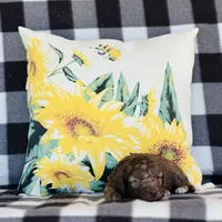 Boy#2, a male Bedlington Terrier for sale in Peru, IL – Photo 6 of 9