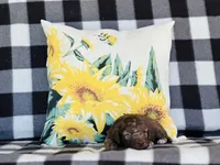 processed/f05f104c-cd7d-4124-a23a-6f6c314f8d34/listing/98785083-0d9f-479a-8e04-4349f6c2a90d/7537e294-2fdf-40f6-94b7-bad47ca455d2