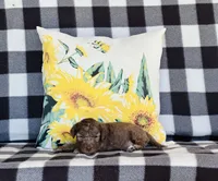 processed/f05f104c-cd7d-4124-a23a-6f6c314f8d34/listing/98785083-0d9f-479a-8e04-4349f6c2a90d/82ecfad1-ac90-47f4-bb80-b43209ee9abc