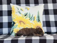 processed/f05f104c-cd7d-4124-a23a-6f6c314f8d34/listing/98785083-0d9f-479a-8e04-4349f6c2a90d/b3d241c8-cd8a-485c-9735-c3f5216c66b6