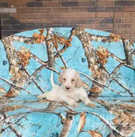 processed/f05f104c-cd7d-4124-a23a-6f6c314f8d34/listing/a91c34ae-c478-4a2d-a0f8-e81b1d583e8e/b3ec2fd8-42e4-4fb9-8c47-4443e29b6e69