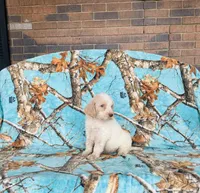 processed/f05f104c-cd7d-4124-a23a-6f6c314f8d34/listing/a91c34ae-c478-4a2d-a0f8-e81b1d583e8e/b7db821c-2735-4642-b1be-bd2919eda284