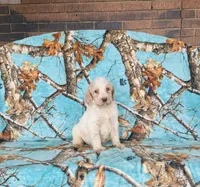 processed/f05f104c-cd7d-4124-a23a-6f6c314f8d34/listing/a91c34ae-c478-4a2d-a0f8-e81b1d583e8e/cbbf1dfa-4ea2-4ed5-be39-bea199619e98