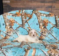 processed/f05f104c-cd7d-4124-a23a-6f6c314f8d34/listing/a91c34ae-c478-4a2d-a0f8-e81b1d583e8e/e6c4ea88-7860-441e-83b2-2e46c080247a