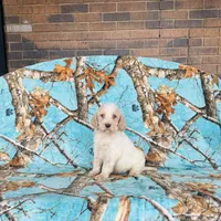 processed/f05f104c-cd7d-4124-a23a-6f6c314f8d34/listing/a91c34ae-c478-4a2d-a0f8-e81b1d583e8e/f57e07f2-131c-4b7a-a81a-56a4c39d2274