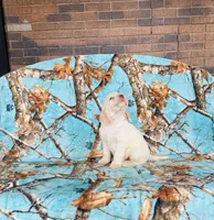 processed/f05f104c-cd7d-4124-a23a-6f6c314f8d34/listing/eebc3459-1ceb-40a1-a316-fa5e5e90de8d/45cd4797-66b3-474b-9efe-cb8fdb0837e4