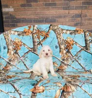 processed/f05f104c-cd7d-4124-a23a-6f6c314f8d34/listing/eebc3459-1ceb-40a1-a316-fa5e5e90de8d/7e58e2da-b52e-4536-900e-3b41ce6a9ce3