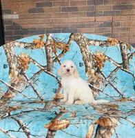 processed/f05f104c-cd7d-4124-a23a-6f6c314f8d34/listing/eebc3459-1ceb-40a1-a316-fa5e5e90de8d/85696261-c093-4038-b56b-3e622d0841f9