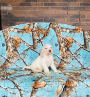 processed/f05f104c-cd7d-4124-a23a-6f6c314f8d34/listing/eebc3459-1ceb-40a1-a316-fa5e5e90de8d/c8131a55-03e5-4cd8-8119-629127898cb0