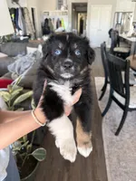 processed/f05fd2ad-9cac-45b5-84c8-346fc6457c36/listing/10fbc2db-f236-4c9f-9158-e42cb8cdb788/0485d4c6-2e90-4577-9e48-e24bd5300c92