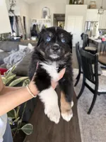 processed/f05fd2ad-9cac-45b5-84c8-346fc6457c36/listing/10fbc2db-f236-4c9f-9158-e42cb8cdb788/d21c14a1-d04a-4ebf-902e-97ced9ef3fd6