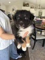 processed/f05fd2ad-9cac-45b5-84c8-346fc6457c36/listing/20833bda-4068-4168-8bf7-789943a0ddac/d1016b50-ea82-40c8-8e41-57e652359fb9