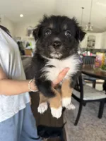 processed/f05fd2ad-9cac-45b5-84c8-346fc6457c36/listing/20833bda-4068-4168-8bf7-789943a0ddac/f5fb154a-3483-4547-9079-018fb5102ff4