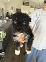 processed/f05fd2ad-9cac-45b5-84c8-346fc6457c36/listing/30e54f49-adf4-4745-88d1-ed3bff2e00fa/446730c7-d8c1-4d69-b51c-55f859ea89c4