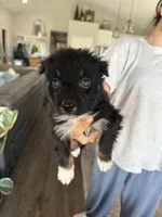 processed/f05fd2ad-9cac-45b5-84c8-346fc6457c36/listing/30e54f49-adf4-4745-88d1-ed3bff2e00fa/7301ded1-63be-46d8-89e9-74adfb7e7a39