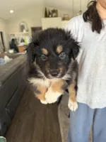 processed/f05fd2ad-9cac-45b5-84c8-346fc6457c36/listing/f93e9648-cd95-4a4e-bec8-0d9a1bb0d916/1820a885-74df-4f62-b62c-3451a2787c5d