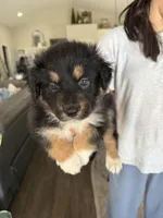 processed/f05fd2ad-9cac-45b5-84c8-346fc6457c36/listing/f93e9648-cd95-4a4e-bec8-0d9a1bb0d916/1a0b623a-5dbc-4dbb-b1bb-296870fb494e