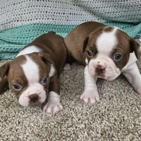 processed/f0609477-7c39-43df-b4f9-92a3c491799c/facility/4175dcca-aac2-4498-b37c-0ea41b9e025e