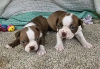 processed/f0609477-7c39-43df-b4f9-92a3c491799c/facility/4175dcca-aac2-4498-b37c-0ea41b9e025e