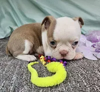 processed/f0609477-7c39-43df-b4f9-92a3c491799c/listing/504c3210-5cde-4087-af39-c25950185a94/3324ddbb-c0b5-42e4-b22c-ecf17aa8d8a3