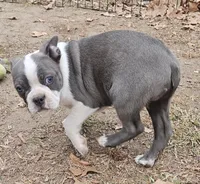 processed/f0609477-7c39-43df-b4f9-92a3c491799c/listing/95c06fbc-2e99-413e-941c-5a337fd416a6/5f247527-50c8-4c39-ba6c-38ed22ee3d49