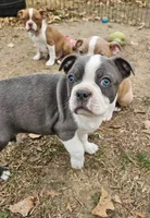 processed/f0609477-7c39-43df-b4f9-92a3c491799c/listing/95c06fbc-2e99-413e-941c-5a337fd416a6/9f647f72-cbaf-46c2-a817-df3529f35310