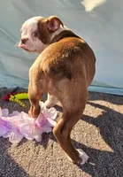 processed/f0609477-7c39-43df-b4f9-92a3c491799c/listing/fa6e703c-d22b-41eb-ad81-6d38557c81c2/2a0e05b0-aafd-4ccd-b526-cdad8abd93d8