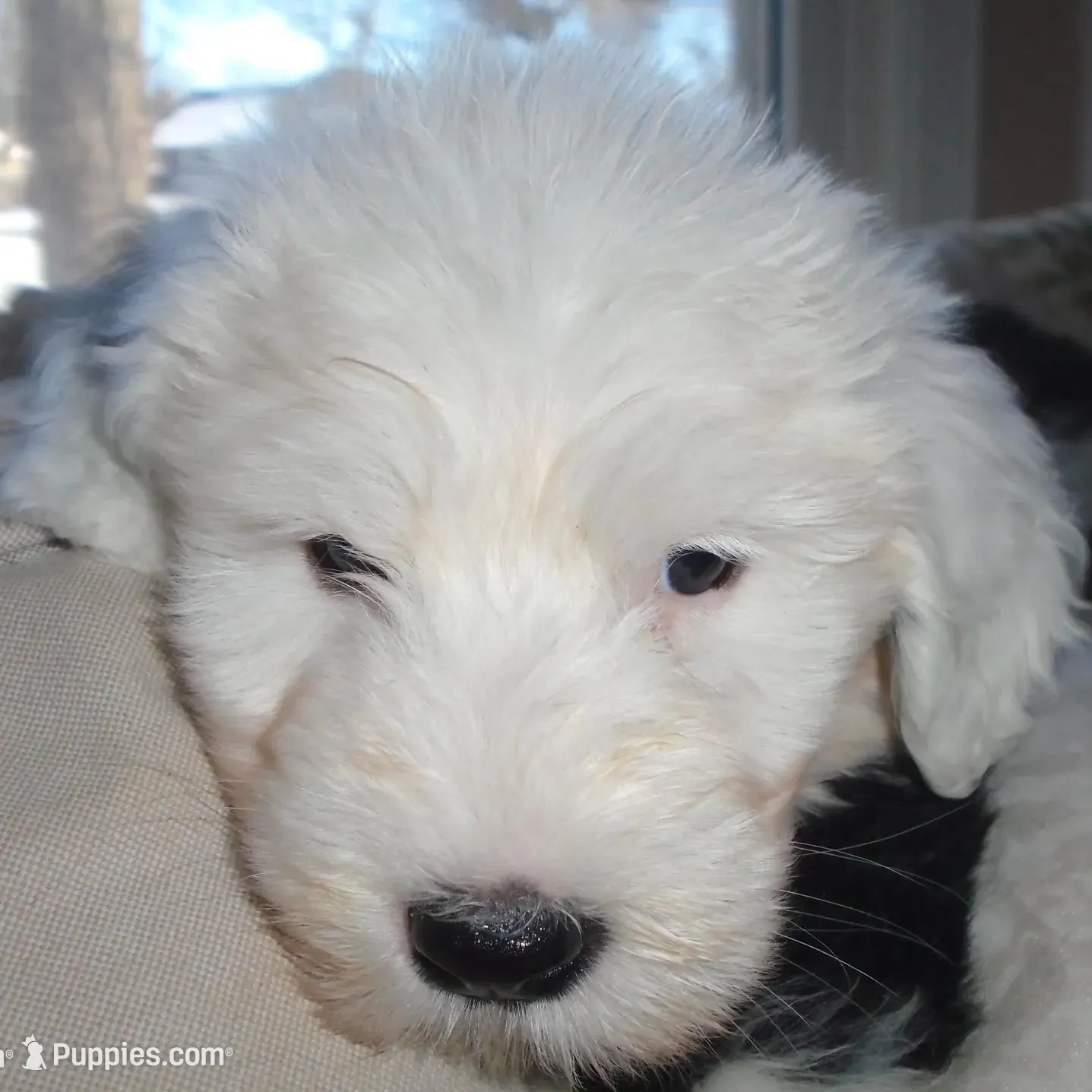 processed/f06105a8-5198-41f5-b815-eedeceafd79b/listing/49a90304-1de7-4d46-8e4d-67287cdf96ca/34a91c5a-480c-414a-847a-dcf9a27a2c60