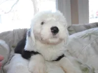 processed/f06105a8-5198-41f5-b815-eedeceafd79b/listing/49a90304-1de7-4d46-8e4d-67287cdf96ca/3c400a1d-c78b-4323-8a85-4158f220fce8