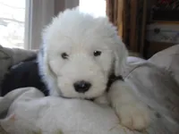 processed/f06105a8-5198-41f5-b815-eedeceafd79b/listing/49a90304-1de7-4d46-8e4d-67287cdf96ca/4551d9f2-0912-4cd1-9279-6b7275ca766e