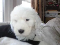 processed/f06105a8-5198-41f5-b815-eedeceafd79b/listing/49a90304-1de7-4d46-8e4d-67287cdf96ca/46d7c25f-73af-43e5-95eb-23283d917f3e