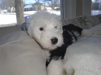 processed/f06105a8-5198-41f5-b815-eedeceafd79b/listing/49a90304-1de7-4d46-8e4d-67287cdf96ca/bb9db4c4-0b8a-4bfe-98b2-fa33ec15778e