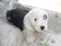 processed/f06105a8-5198-41f5-b815-eedeceafd79b/listing/9aa2f7ed-2ceb-4312-8b20-2e1c04958df0/86e6feb8-41a1-4e53-81c2-485bd8b82d71