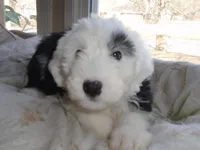 processed/f06105a8-5198-41f5-b815-eedeceafd79b/listing/9aa2f7ed-2ceb-4312-8b20-2e1c04958df0/8ca4d211-d478-4cf5-95b8-8706629a3054