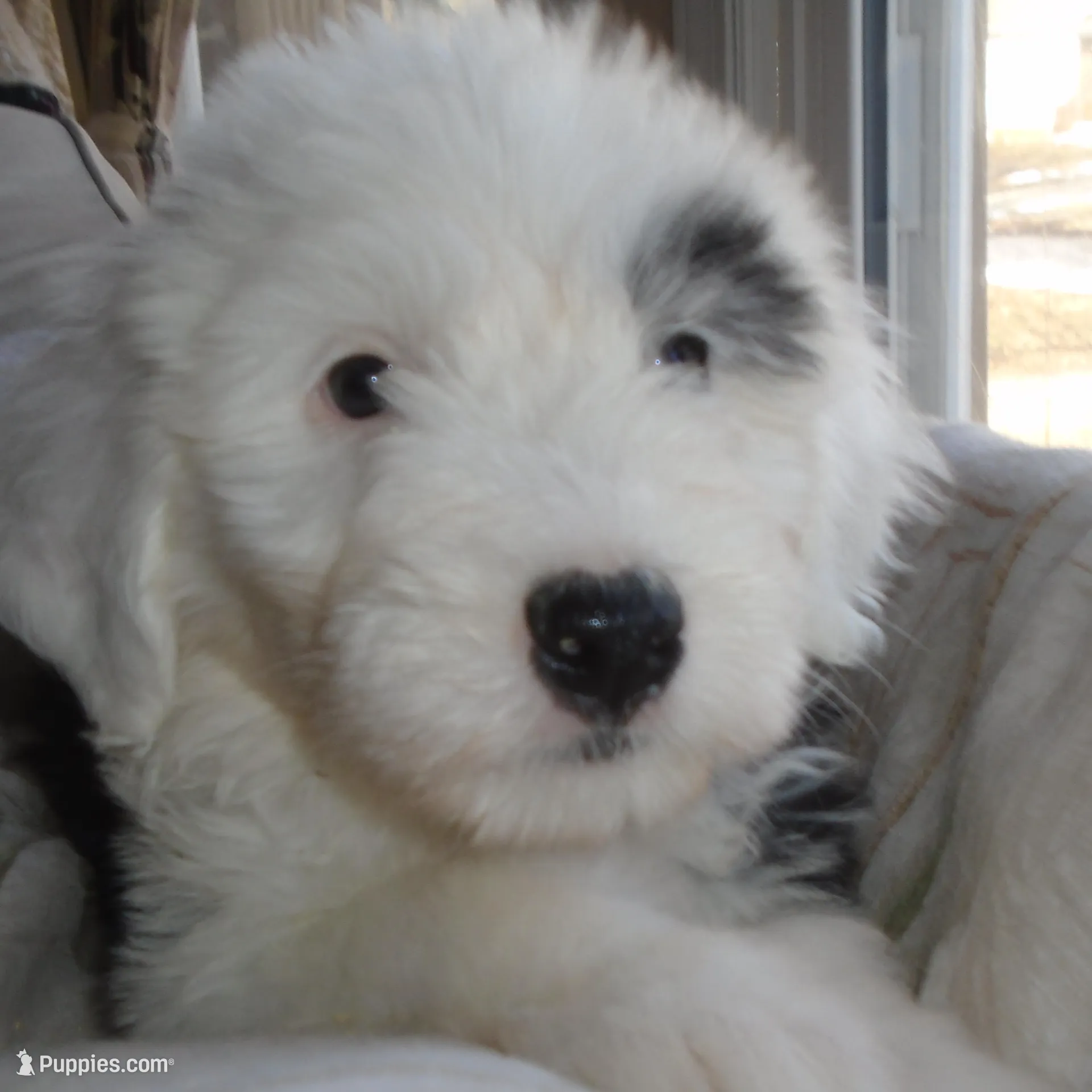 processed/f06105a8-5198-41f5-b815-eedeceafd79b/listing/9aa2f7ed-2ceb-4312-8b20-2e1c04958df0/9a64ab2b-c850-473a-aa09-c744afafd23e