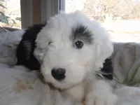 processed/f06105a8-5198-41f5-b815-eedeceafd79b/listing/9aa2f7ed-2ceb-4312-8b20-2e1c04958df0/c11ab2c1-f46a-4b7f-9af4-f279c32e9010