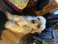 processed/f06117f3-6164-43e8-917a-00c280ccb3d9/facility/3bb85e4e-74a2-4f24-8ac9-1350d8c434ca