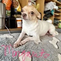 processed/f06117f3-6164-43e8-917a-00c280ccb3d9/facility/44bafa54-acbe-4220-9dce-b6eb9a2f81de